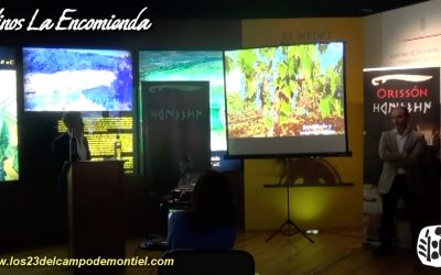 Presentación Orisson – Vino de Autor