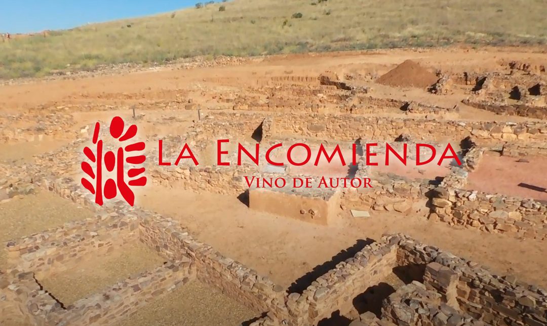 Vino y cultura con Vinos La Encomienda
